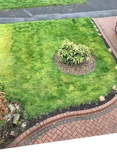 Tarmacadams Surfacing Ltd — Customer photo