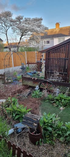 Domestic resin paving ltd — Customer photo